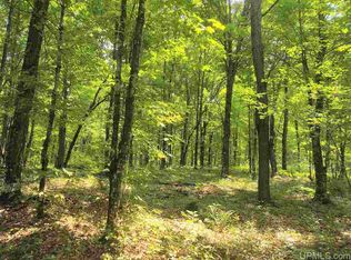 Conners Rd, Iron River, MI 49935