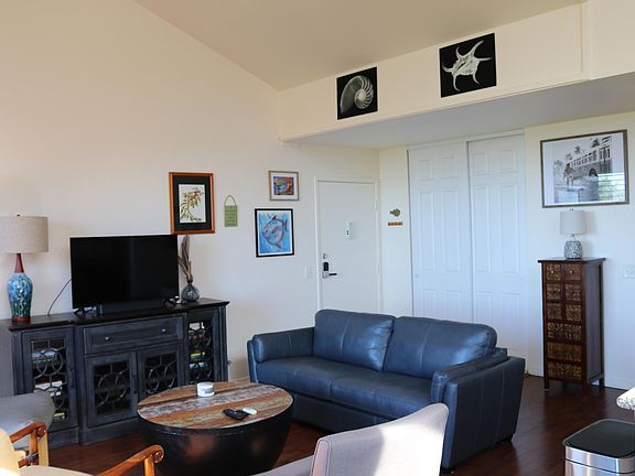 Living room and entry door.