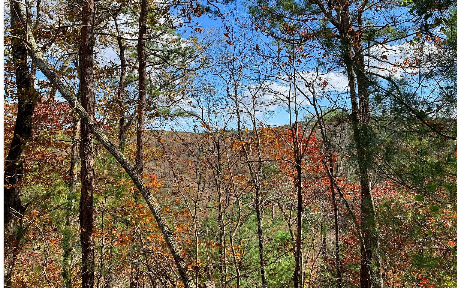 Rebekah Ridge Rd photo 1