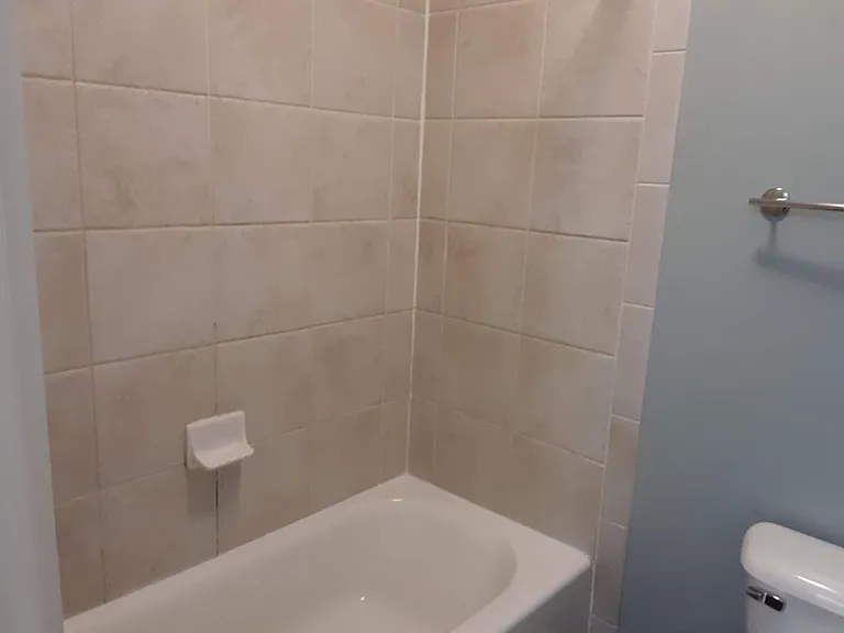Master Bathroom - Separate tub and toilet area