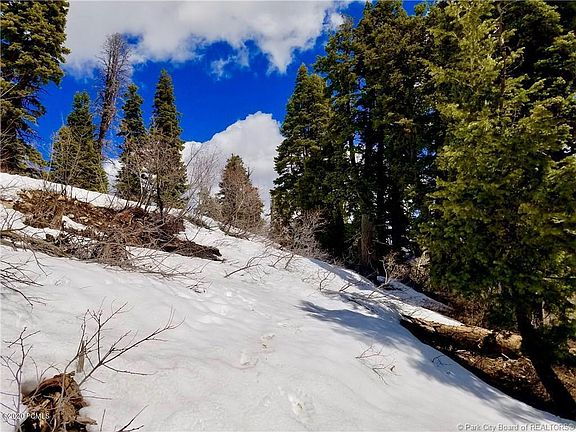 3rd image of 2393 Navajo Rd