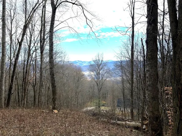 2 Sage Ln, Waynesville, NC 28785