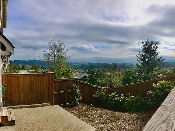 Backyard Patio View
