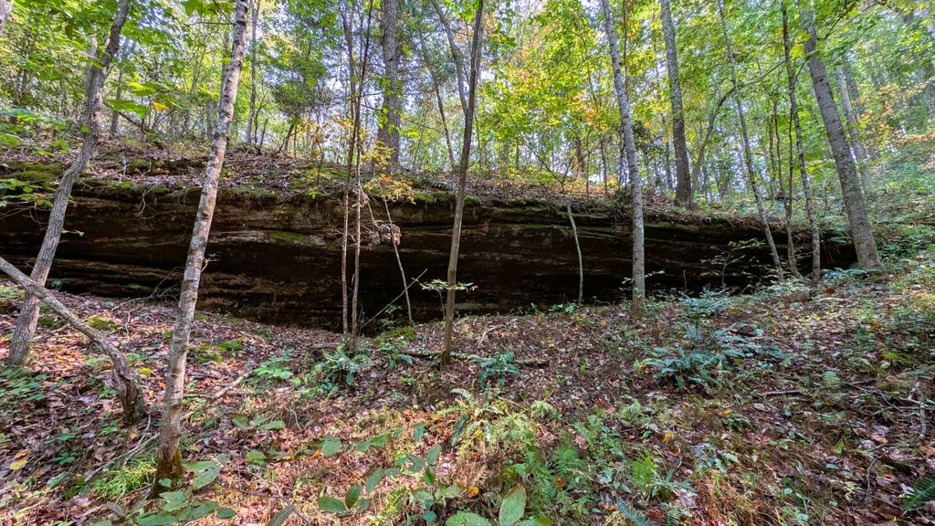 Real estate listing image