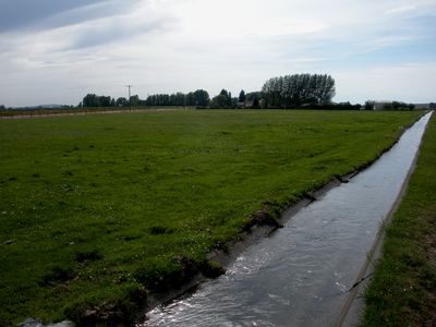 1017 Bearden St, Albertville, AL, 35950