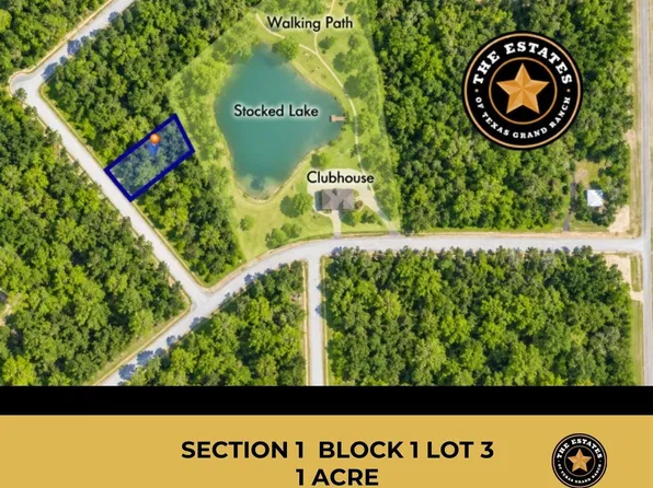 126 Hollow Hill Dr, New Waverly, TX 77358