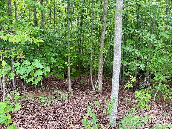 3rd image of Scenic Vista Dr #248