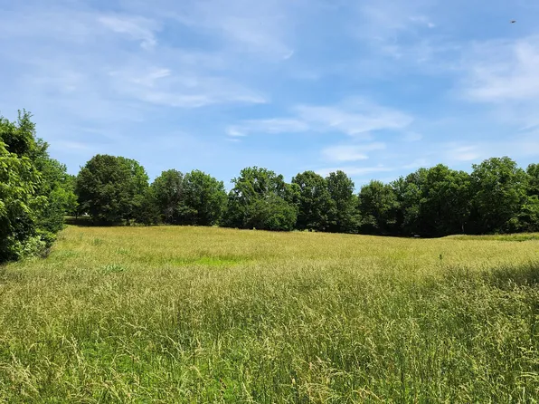 Lot 9 N Farm Road 61, Walnut Grove, MO 65770