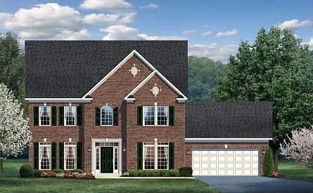 ElevationImage