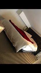 Rented by Guidance Realty Corp.