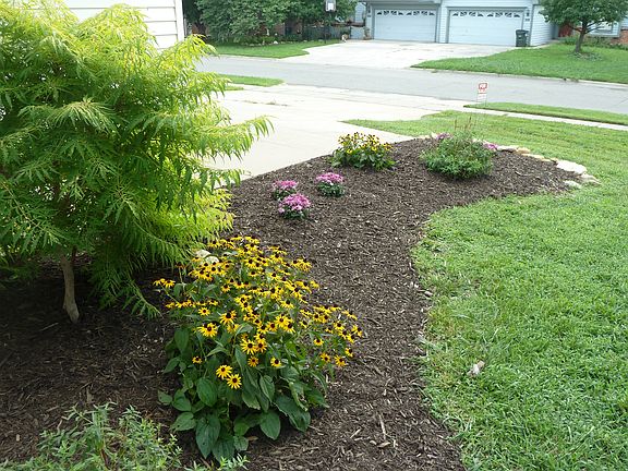 Landscaped front entry