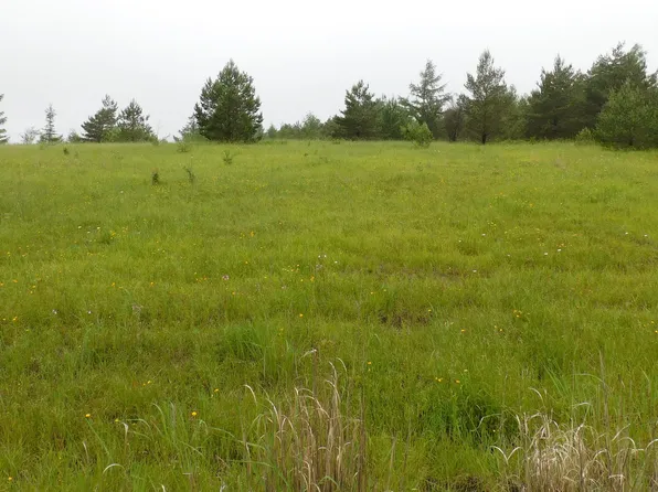 0 Skyline Dr, Blandburg, PA 16619