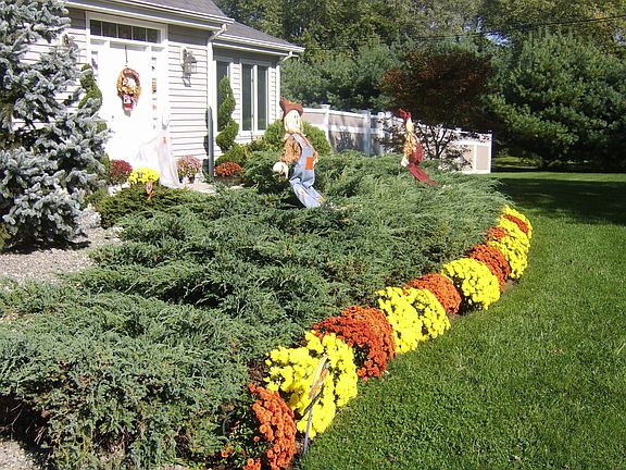 Inviting Curb Appeal