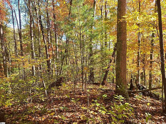 4th image of 0 Bettys Creek Rd