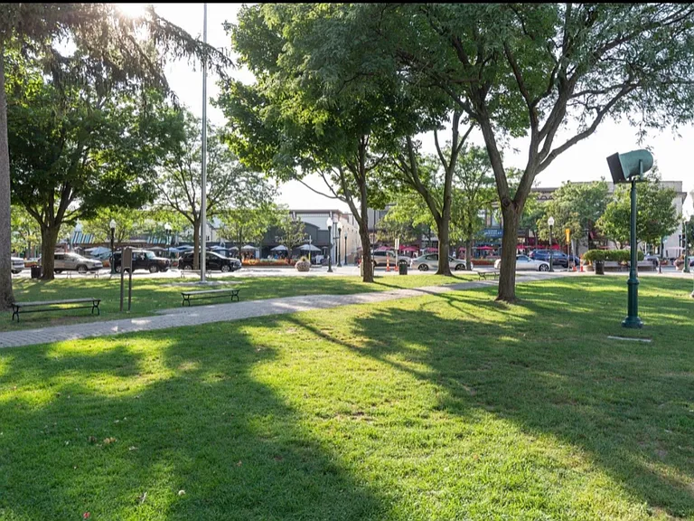 Walking Distance to Kellogg Park - Downtown Plymouth