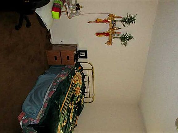 5th image of 903 Rachel Ave