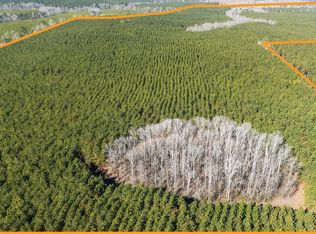 Piney Wood Pineywood Rd, Saluda, SC 29138