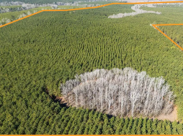 Piney Wood Pineywood Rd, Saluda, SC 29138