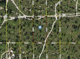 Holopaw Groves Rd Lot 22, Saint Cloud, FL 34771