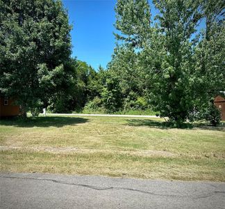 Blue Heron Way, Kerens, TX, 75144