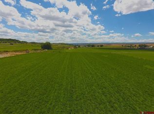 Tbd Jig Rd, Montrose, CO 81403