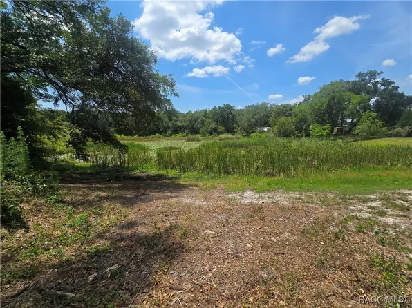 6532 N Iris Dr, Hernando, FL 34442