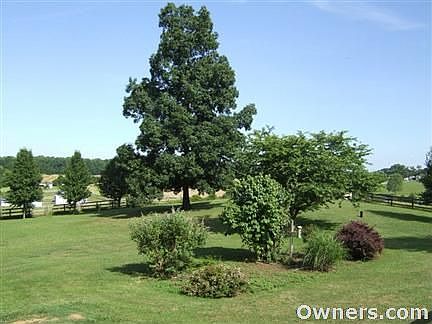 View from the deck