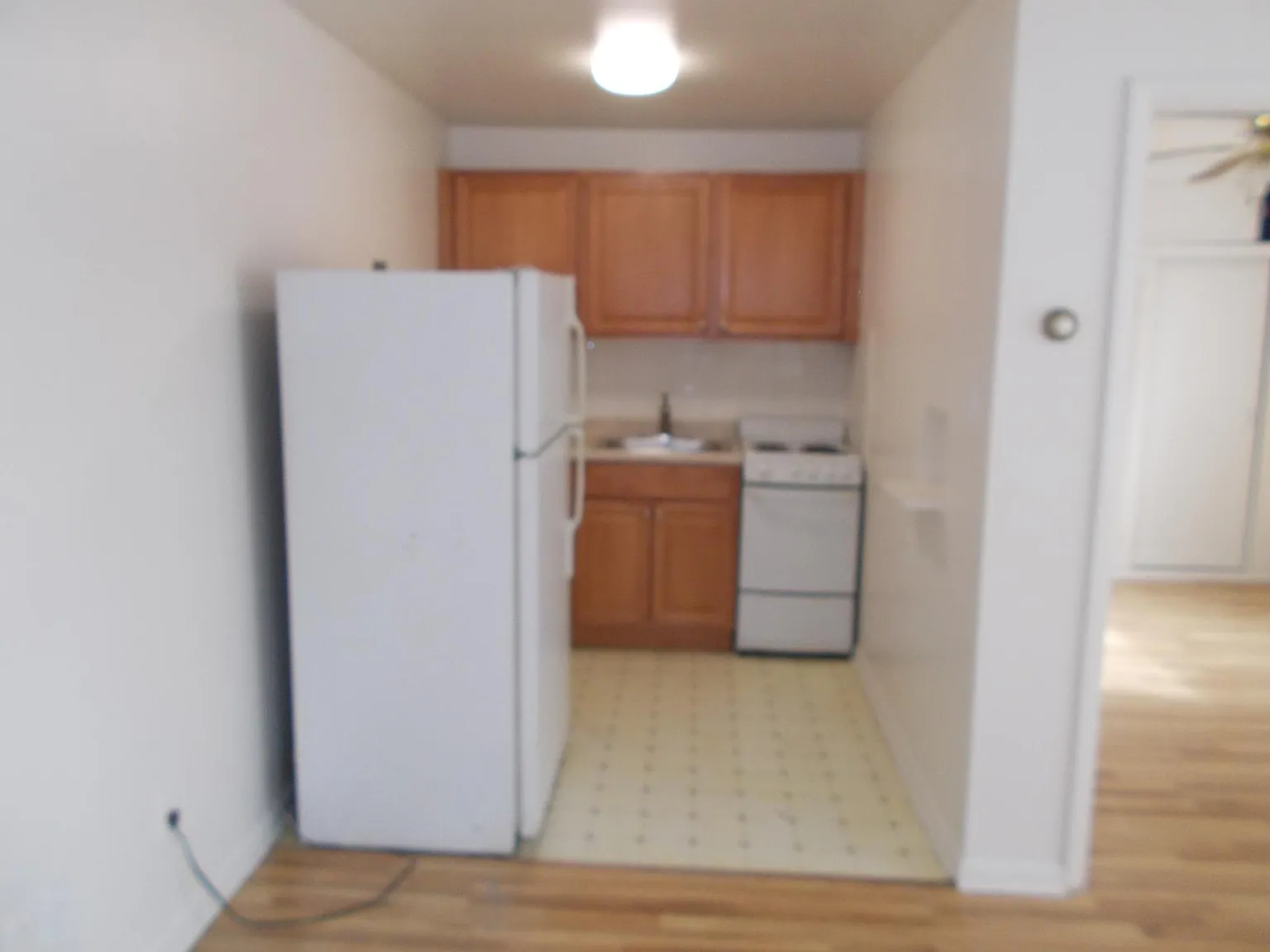 1 bed, 369 sqft, $900 — Photo 3