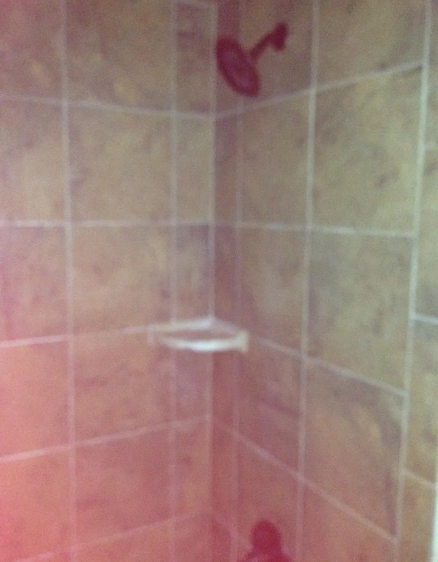 1 bed, $750 — Photo 3