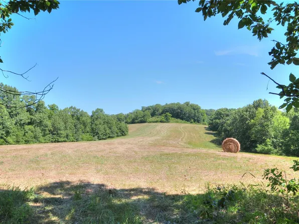 M/l Deer Run, Elsberry, MO 63343