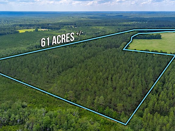 5th image of 61.85 Acre Hwy #602