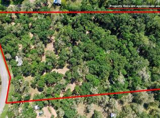 22722 County Road 384a, Damon, TX 77430