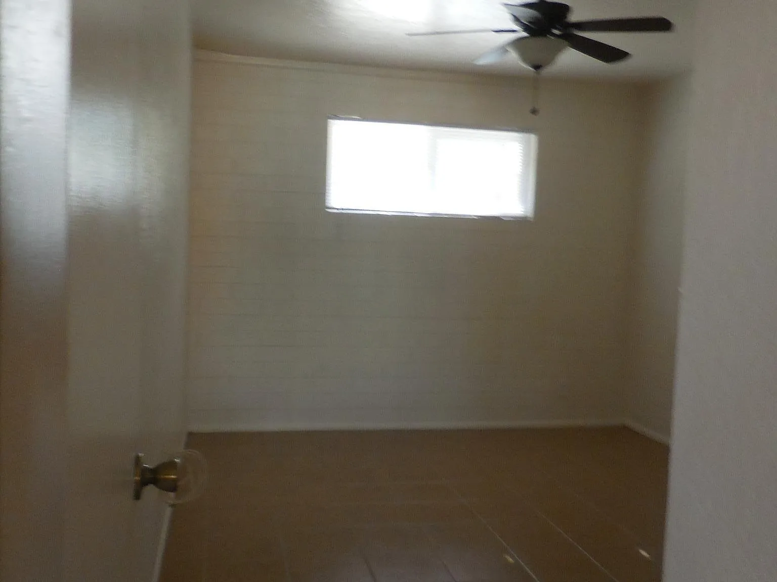 1 bed, 550 sqft, $1,100 — Photo 4