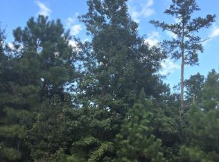 28002 Vuskou Ct, Spring, TX 77386