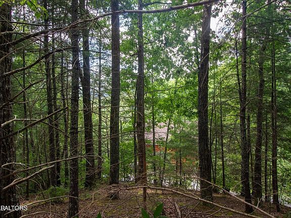 3rd image of 13 High Top Loop Lot 13