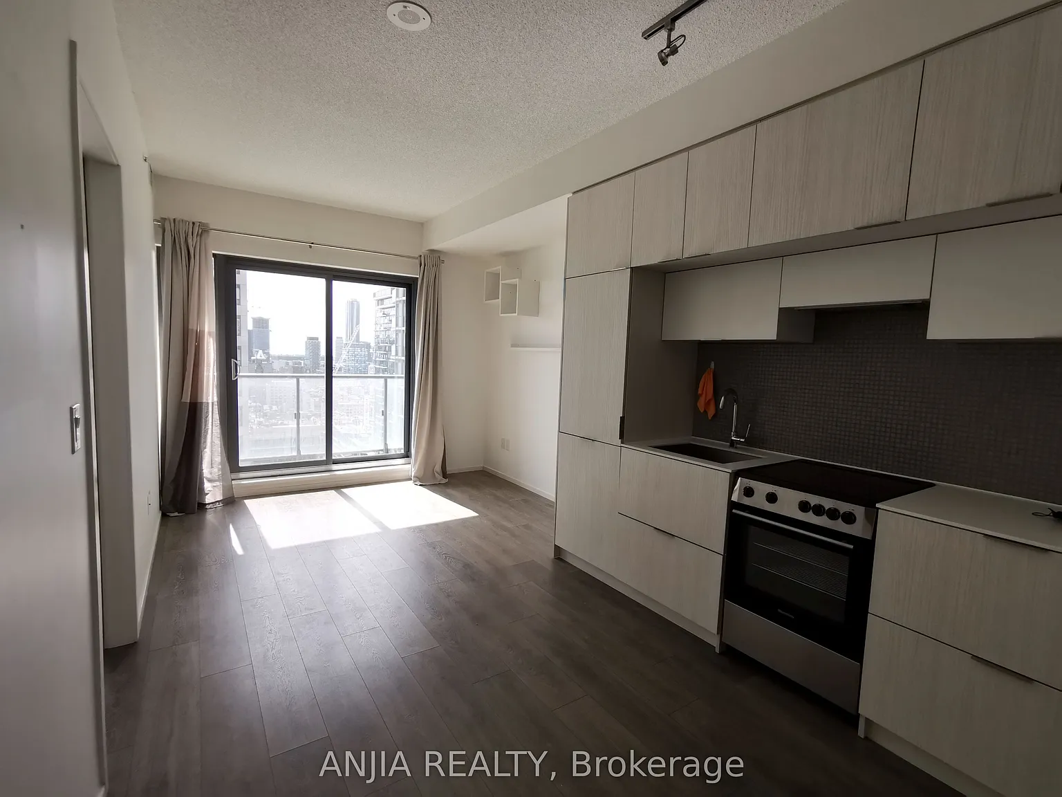 Pace Condo — Photo 4