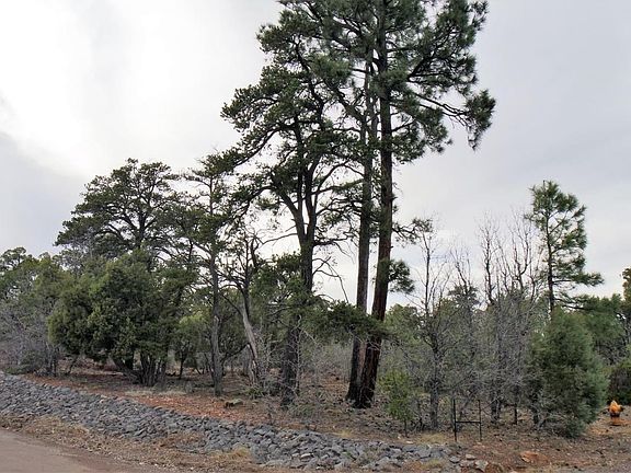 Tall Pines