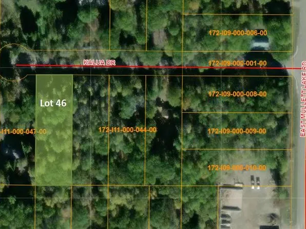 4613 Kalua Dr, Indian River, MI 49749