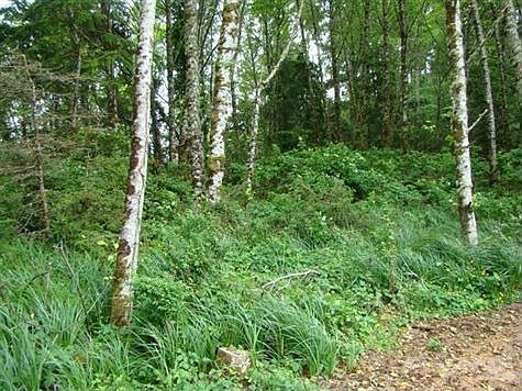 DSC01677 (Small)