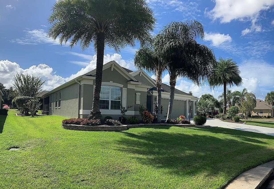Mature palms 
