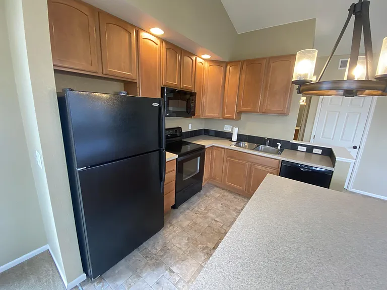 2115 Grays Peak Dr #203-1-1 — Photo 3