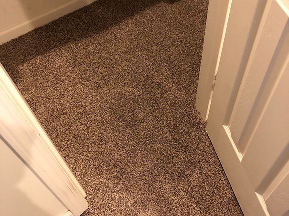 New Carpet Feb 2019!