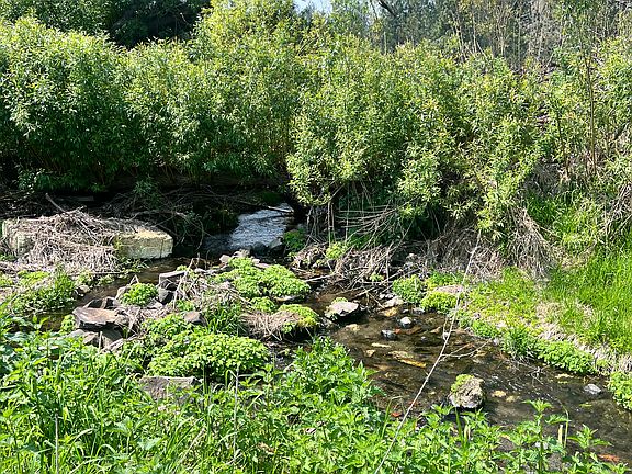 Creek runs along the back of the property. Photo taken in summer.