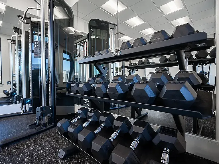 24-Hour Fitness Center at 5 Row Apartments