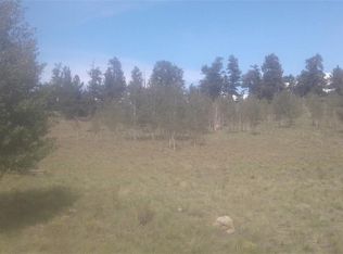 606 Superstition Trl, Hartsel, CO 80449