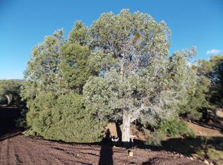 952 Dreamy Draw Cir, Show Low, AZ 85901