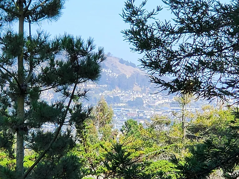 Mandarin Dr — Photo 50