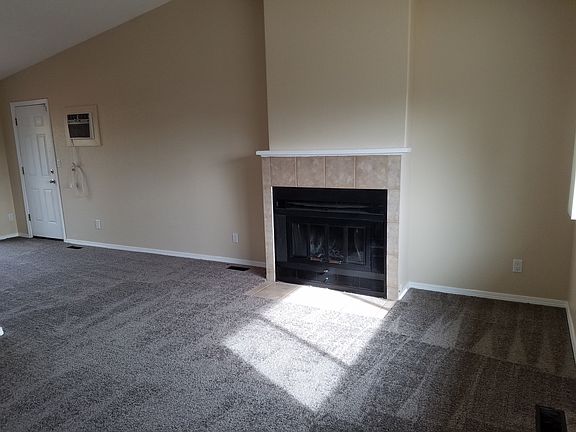 Wood-burning fireplace