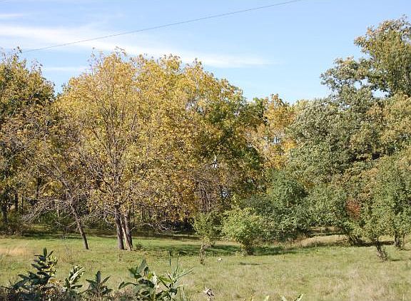 3rd image of 240 Acres 270th St W