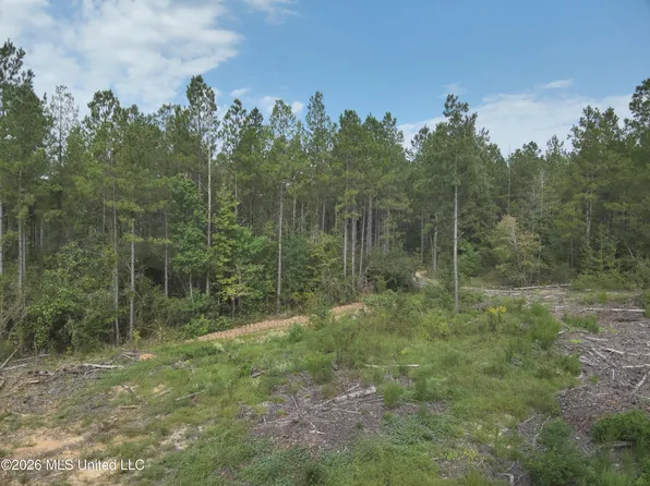 769 Highway 43, Oak Vale, MS 39656